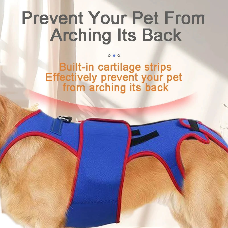 Arnés Ortopédico Lumbar para Perros Salchicha – Soporte Especial para Prevenir IVDD | Estabiliza la Columna y Reduce el Riesgo de Lesiones