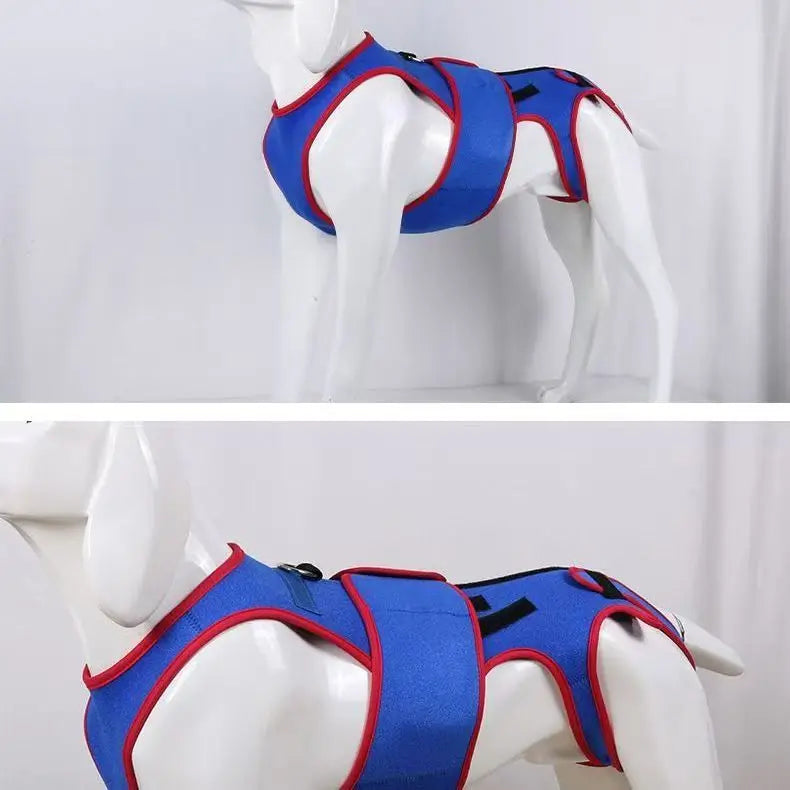 Arnés Ortopédico Lumbar para Perros Salchicha – Soporte Especial para Prevenir IVDD | Estabiliza la Columna y Reduce el Riesgo de Lesiones