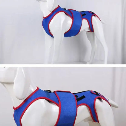 Arnés Ortopédico Lumbar para Perros Salchicha – Soporte Especial para Prevenir IVDD | Estabiliza la Columna y Reduce el Riesgo de Lesiones