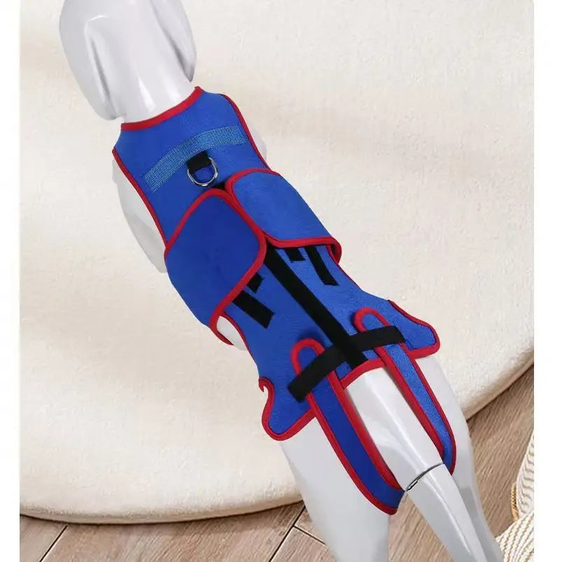 Arnés Ortopédico Lumbar para Perros Salchicha – Soporte Especial para Prevenir IVDD | Estabiliza la Columna y Reduce el Riesgo de Lesiones
