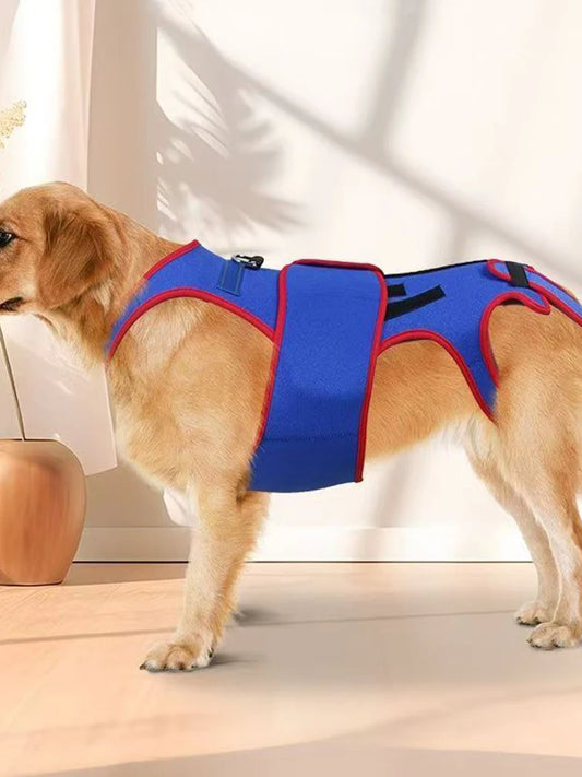 Arnés Ortopédico Lumbar para Perros Salchicha – Soporte Especial para Prevenir IVDD | Estabiliza la Columna y Reduce el Riesgo de Lesiones