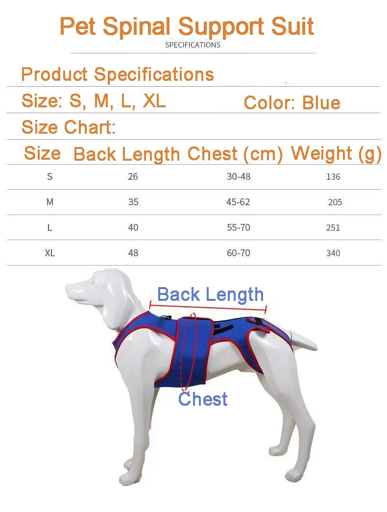 Arnés Ortopédico Lumbar para Perros Salchicha – Soporte Especial para Prevenir IVDD | Estabiliza la Columna y Reduce el Riesgo de Lesiones