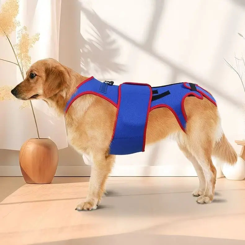 Arnés Ortopédico Lumbar para Perros Salchicha – Soporte Especial para Prevenir IVDD | Estabiliza la Columna y Reduce el Riesgo de Lesiones