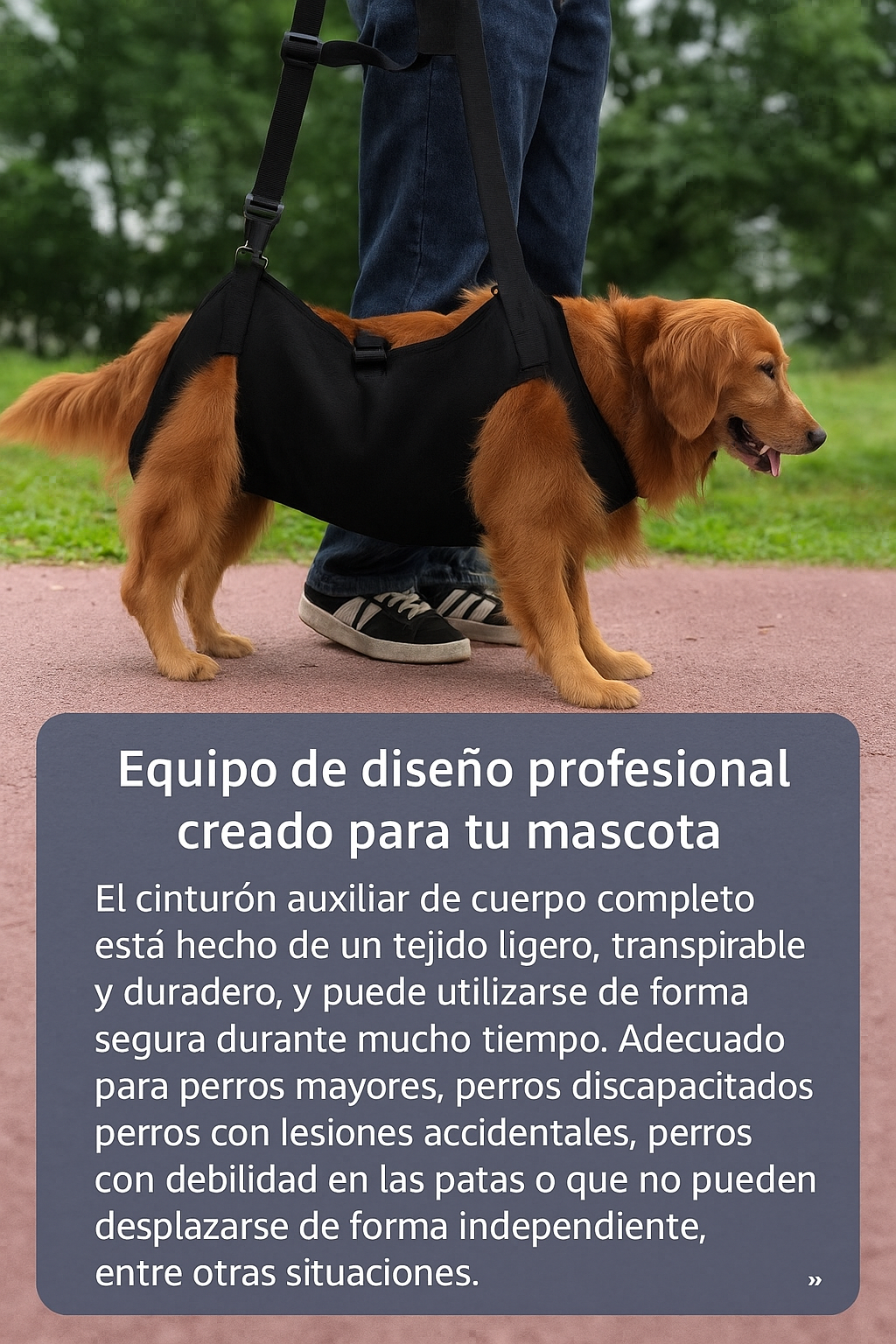 OrtoSpine™ – Arnés Ortopédico Lumbar para Perros