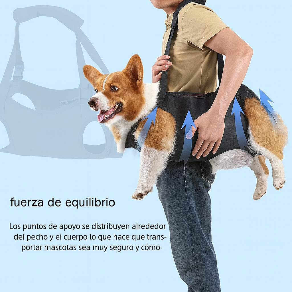 OrtoSpine™ – Arnés Ortopédico Lumbar para Perros
