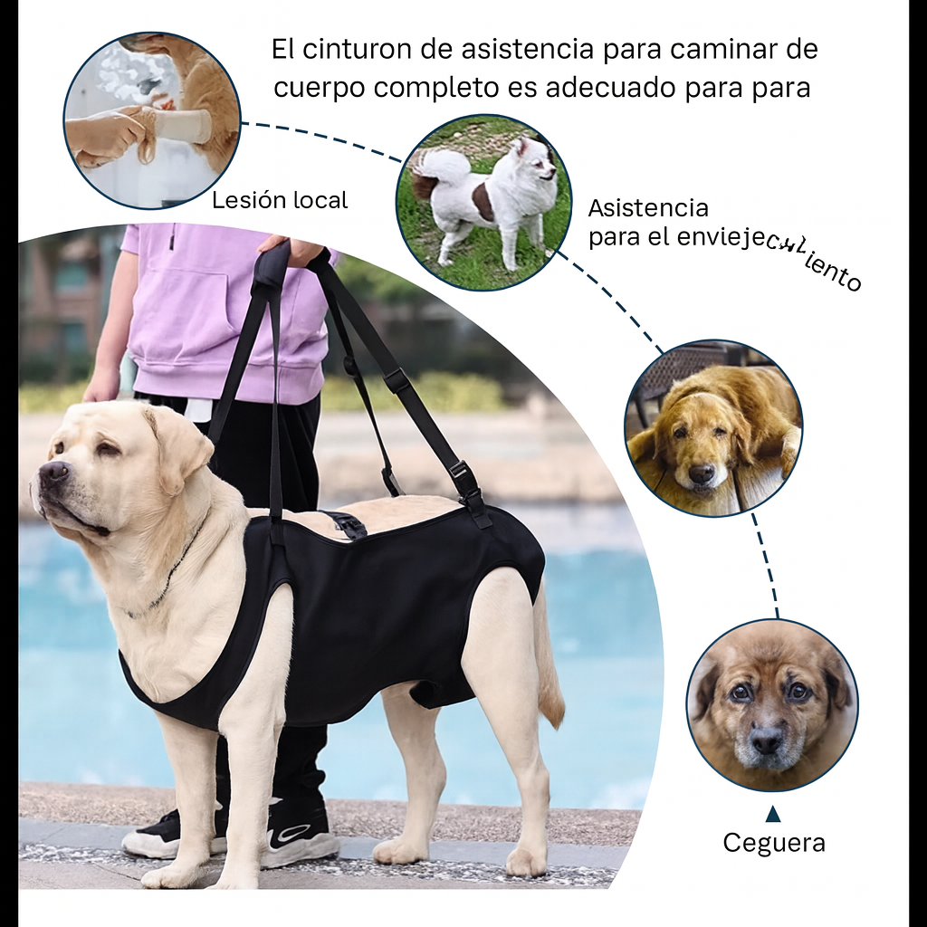OrtoSpine™ – Arnés Ortopédico Lumbar para Perros