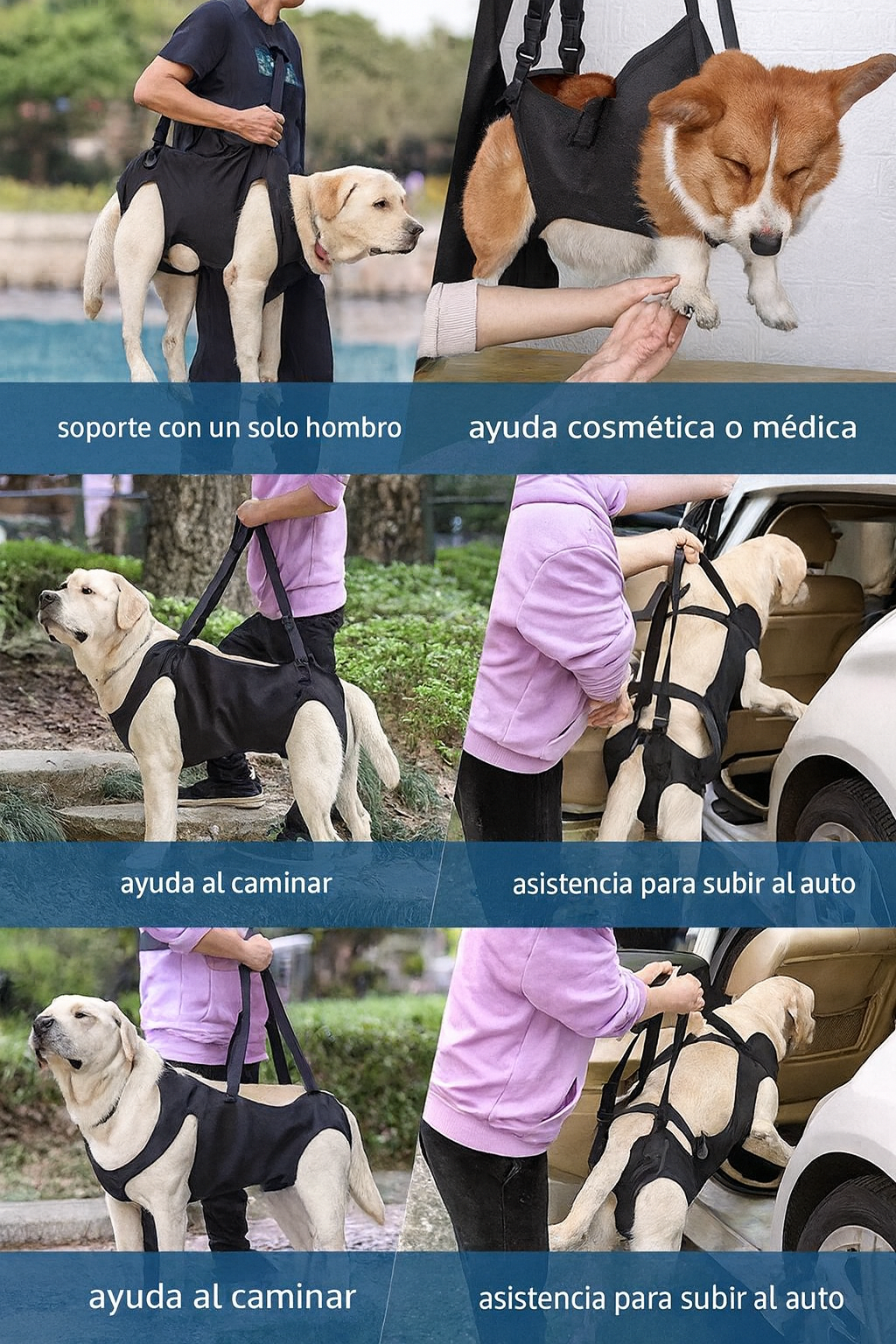 OrtoSpine™ – Arnés Ortopédico Lumbar para Perros