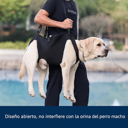 OrtoSpine™ – Arnés Ortopédico Lumbar para Perros
